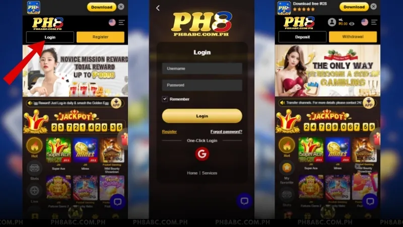 PH8 Login Form